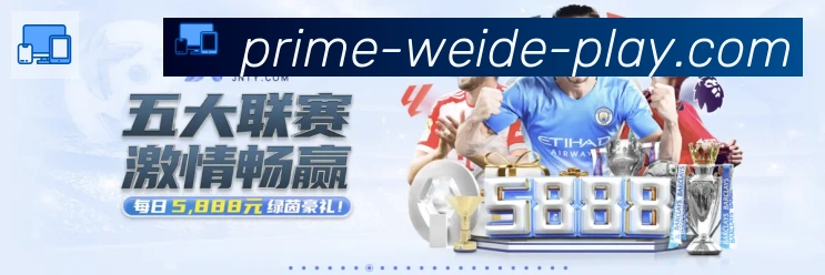 战术演练